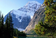 雷速体育比分官网直播-包含布莱顿大胜伯恩利，继续保持前进势头的词条