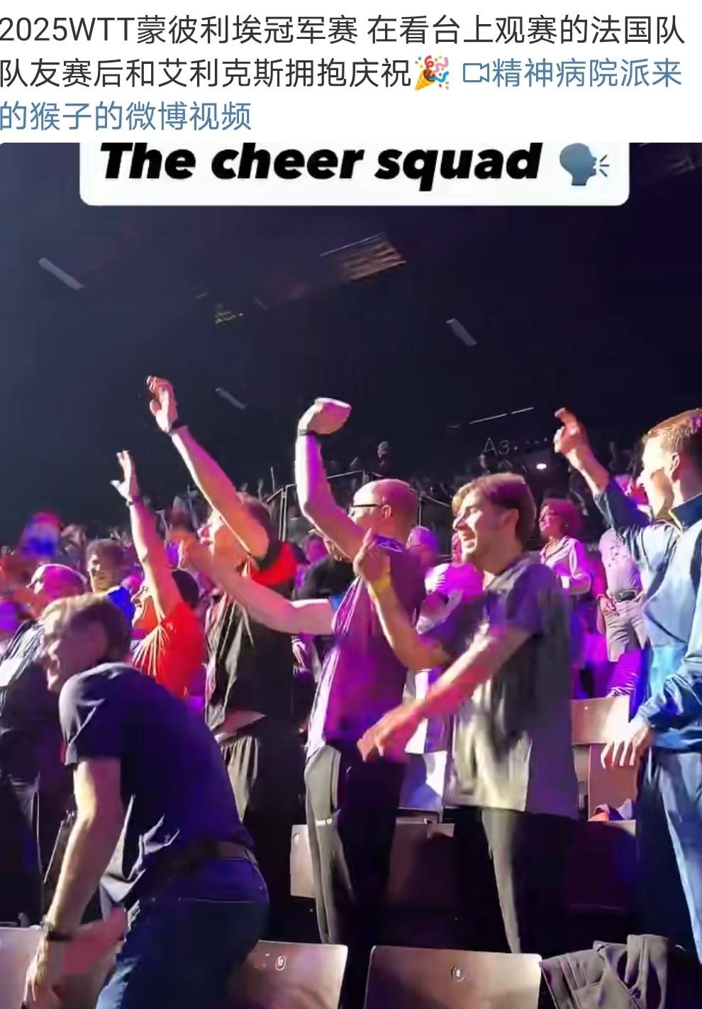 法国队完胜英格兰队,张本智和惊艳四座 法国队完胜英格兰队,张本智和惊艳四座